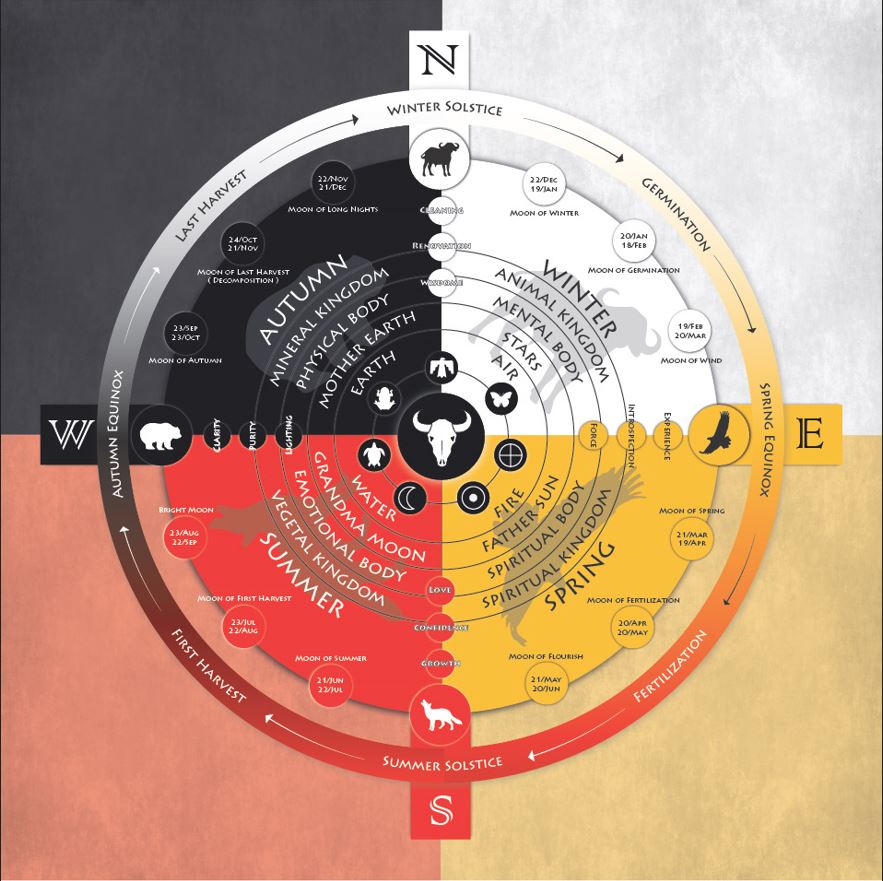 The Medicine Wheel — a circular sacred diagram on parchment mapping the four cardinal directions, seasons, elements, and spiritual kingdoms, with a central bull motif and concentric rings of ceremonial symbols.